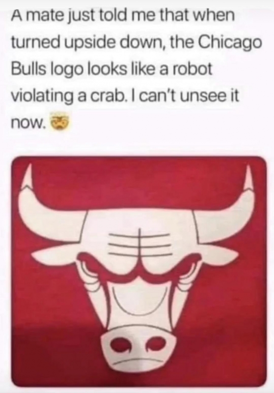 bulls.jpg